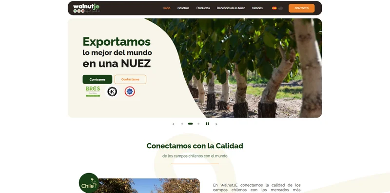 Portada de WalnutJE con el hero de exportacion de nuez chilena.
